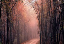  -南方航(háng)空将购买137架空客飞机，拟定增(zēng)募资不超150亿元