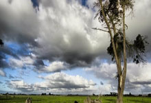 安全买球软件推荐 -媒体报道｜陕西省委书记赵一(yī)德(dé)与新(xīn)紫光集团董事长李滨一(yī)行座谈