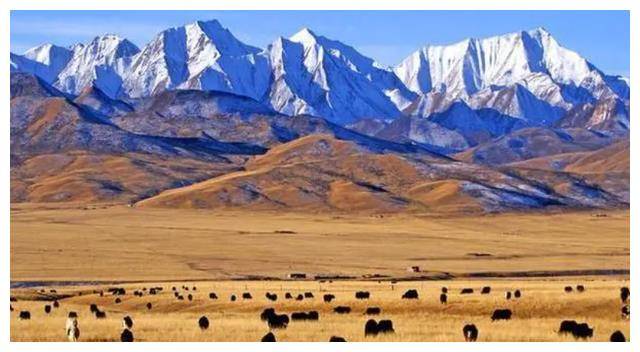 浅述吐蕃王朝的崛起过程